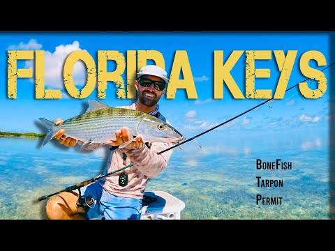 Видео: Как ловить рыбу на Флорида-Кис: костлявая рыба, тарпон и разрешение
