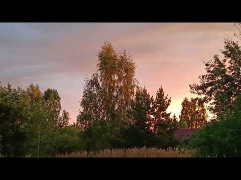 Видео: Сверхъяркий Дубровский закат