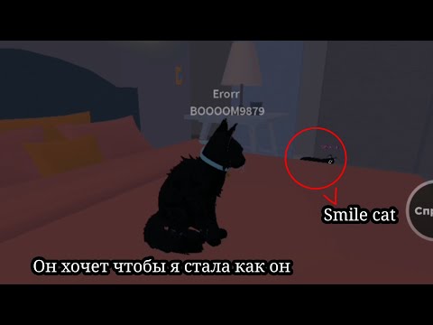Видео: НИКОГДА НЕ ВЫЗЫВАЙ SMILE CAT В WARRIOR CATS!Страшный миф о Smile cat🐾//Он ошибка разработчика❗