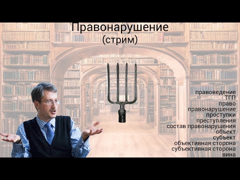 Видео: Правонарушение (лекция-стрим)