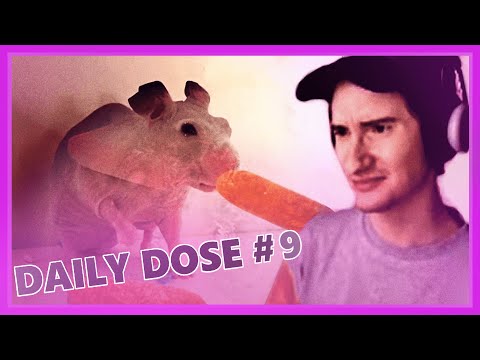 Видео: Дневная доза интернета с Олёшей 9 | Олёша смотрит