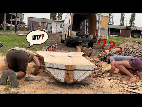 Видео: Шокирующая находка в дубе