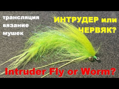 Видео: Intruder Fly or Worm трансляция по вязанию мушек