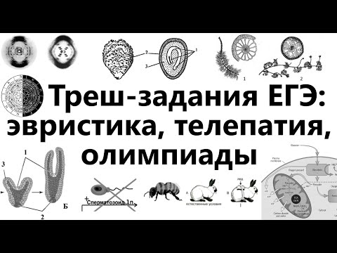 Видео: Треш-задания ЕГЭ 2023 по биологии: эвристика, телепатия, олимпиады