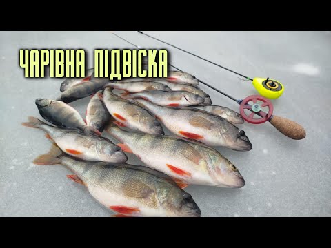 Видео: 💥ЗАЛИВ р.Псел ❄️Ловля ОКУНЯ на БАЛАНСИР та БЛЕСНУ❄️