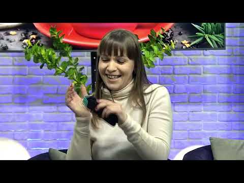 Видео: Я на TV 4 лютого 2022 "Ранкова кава з Наталією Купчик".