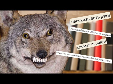 Видео: Перлы из Фанфиков "Мохнатая Пещера" и  "Шалые Глаза" Ficbook Wattpad