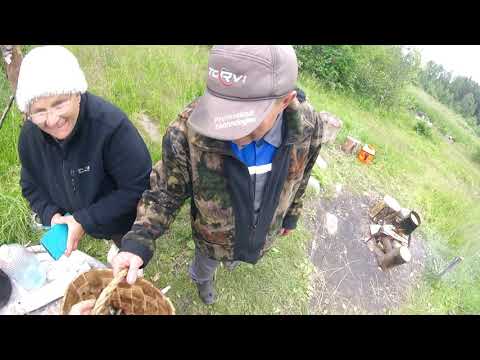 Видео: Со спиннингом за щукой!!! Трёхдневная рыбалка!Часть 2.