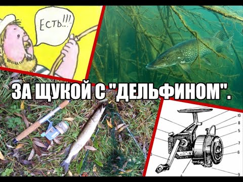 Видео: За щукой с "Дельфином"!
