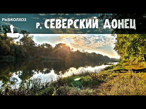 Видео: Северский Донец - река которая даёт рыбу.  Рыбалка со спиннингом в черте города Лисичанск.