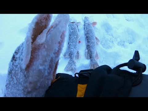 Видео: И СНОВА ЩУКА НА ЖЕРЛИЦЫ СЕЗОН 2023-24г. . .