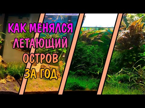 Видео: КАК ИЗМЕНИЛСЯ ЛЕТАЮЩИЙ ОСТРОВ ЗА ГОД. FLYING ISLAND UPDATE
