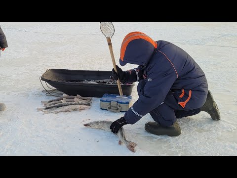 Видео: Рыбалка на удау? Камни Сикачи-Аляна