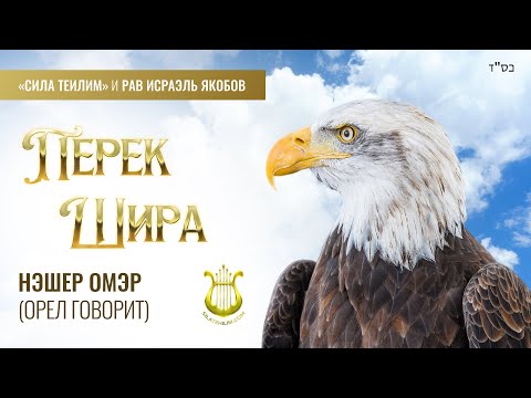 Видео: 🎻 Перек Шира. ОРЕЛ говорит. Урок 35. Рав Исраэль Якобов