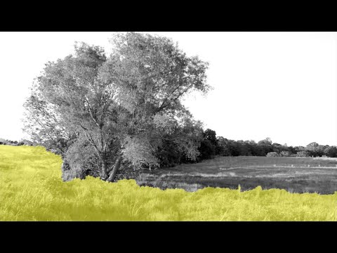 Видео: Искусство реконструкции композиций