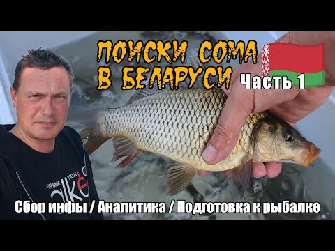 Видео: Поиски сома в Беларуси. Часть 1: Подготовка к рыбалке – Ловим живца, собираем снасти. #сом