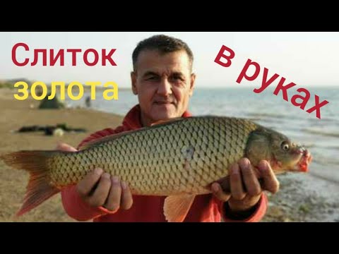 Видео: Рыбалка на озере Тудакуль , ловим сазана . ( Сarp fishing on Tudakul lake ).