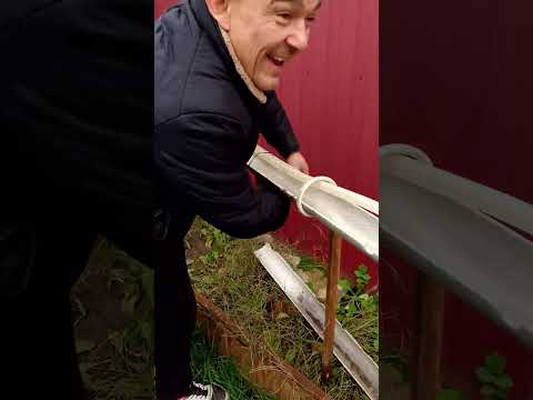 Видео: 30 октября 2025 г.