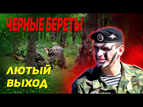 Видео: МОРПЕХИ НА УЧЕНИЯХ ДОШУТИЛИСЬ ДО «ЗАСАДЫ»: Полевой выход. Разведчики РФ