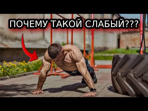 Видео: Дикий Лось НЕ может отжаться даже 2 раза