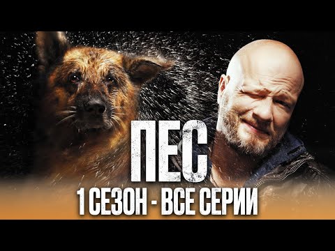 Видео: Сериал ПЕС – ПОЛНЫЙ 1 сезон – ВСЕ СЕРИИ ПОДРЯД (1 – 20) | Сериалы ICTV