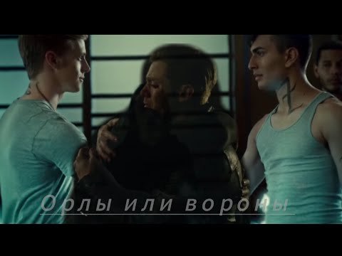 Видео: Джейс и Алек /Орлы или вороны