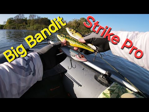 Видео: Big Bandit- обзор на водоеме