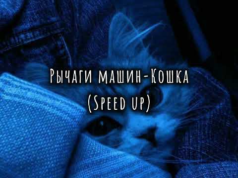 Видео: Рычаги Машин-Кошка (speed up)