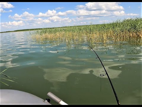 Видео: ловля окуня на озере сартлан