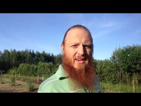 Видео: Вред хлеба. Почему не ем хлеб! Что будет, если перестать есть хлеб, чем заменить