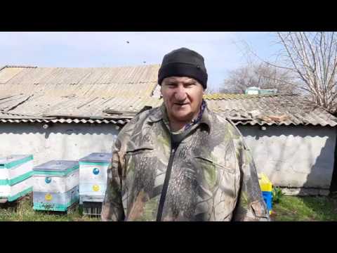 Видео: Улей Дениса Фадеева. Совет пчеловода.