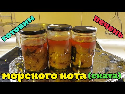 Видео: Готовим печень морского кота (ската)