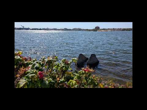 Видео: "Законы правильных отношений с собой, людьми и Богом". Джин Лоуренс. 