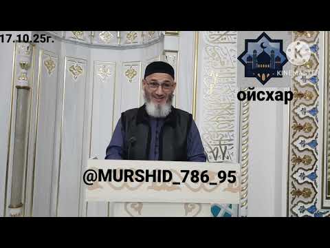 Видео: ИСА ХЬАЖА ОЙСХАР! БАКХИЧУ НЕХ ЛЕРАМ БАРХЛАЬЦ ХАЗ ХЬЕХАМ! 17.10.2025г.