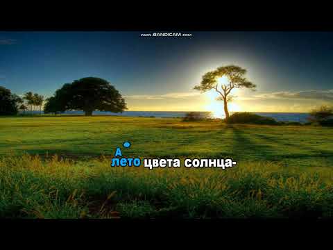 Видео: Юрий Шатунов-Лето Цвета Караоке