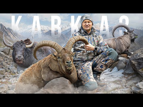 Видео: Первый Трофей. Охота на Кавказе 2025 #охота