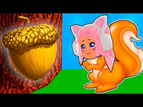 Видео: Я СТАЛА ГЛАВНОЙ БЕЛКОЙ В РОБЛОКС ! ТАЙКУН ДЛЯ БЕЛОК В ROBLOX