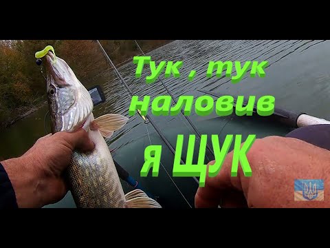 Видео: Ловлю щуку на ставку #РибачуЯкУмію