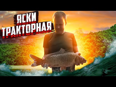 Видео: ВОТ ЭТО Я ПОПАЛ ТАКОЙ РЫБАЛКИ НЕ ОЖИДАЛ / ЯСКИ  ТРАКТОРНАЯ БРИГАДА/ Всего один карпик за всю рыбалку