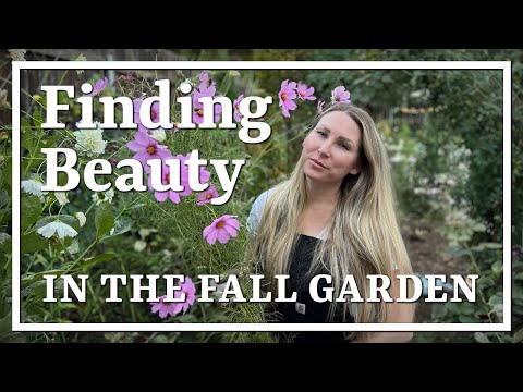 Видео: Столько красоты можно найти в осеннем саду// Поддерживаем дикую природу// Спокойной ночи, Далия У...