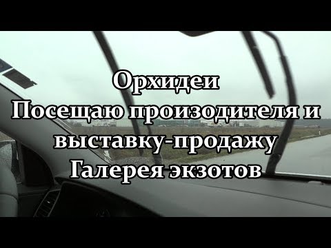 Видео: 🌺 Орхидеи.  Посещаю производителя и выставку продажу.  Галерея экзотов. Часть 2