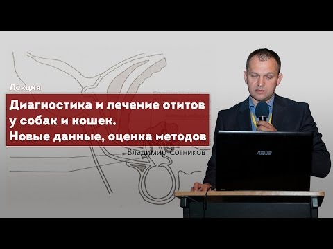 Видео: Отиты у собак и кошек. Диагностика и лечение, оценка методов лечения