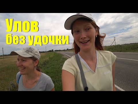 Видео: морская рыбалка без удочек принесла улов Приморский Темрюкский район