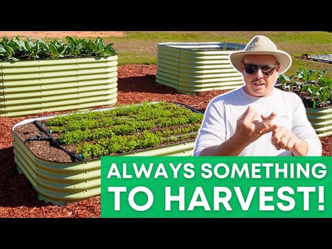 Видео: Сад, в котором никогда не кончается еда!