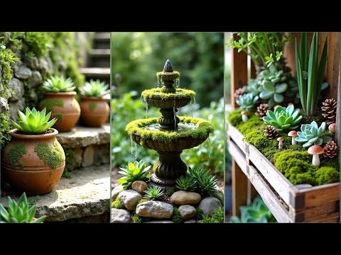 Видео: Захватывающие идеи декора с суккулентами, которые мгновенно преобразят ваш дом и сад!