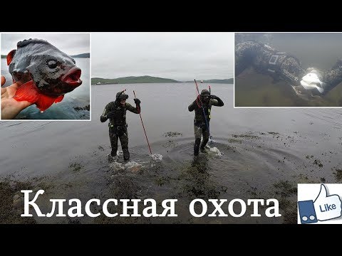 Видео: УДАЧНАЯ ОХОТА В КОЛЬСКОМ ЗАЛИВЕ / GOOD HUNTING IN THE KOLA BAY