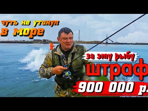 Видео: Сахалин. Таймени нападают на людей. Волны накрывают с головой.