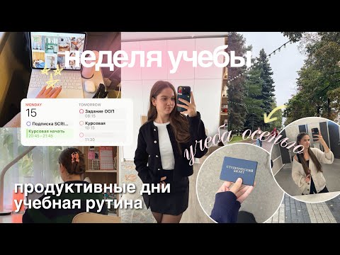 Видео: НЕДЕЛЯ УЧЕБЫ СО МНОЙ *study vlog*/мои учебные дни с 6 утра 💌°˖⊹