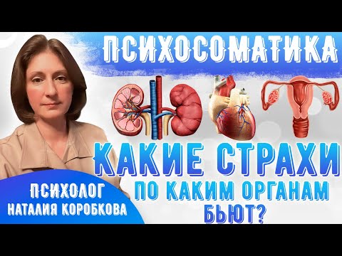Видео: Какие страхи по каким органам "бьют". Психосоматика болезней.