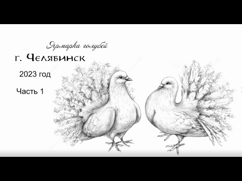 Видео: ОБЗОР. Ярмарка голубей. г. Челябинск. Часть 1 /12. 03. 2023г